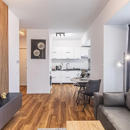 Apartment Cozy Cityscape - Near Coresi Mall #brasov Brasov